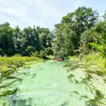 jacksonville-beach-moms-z78FxiNCA5w-unsplash