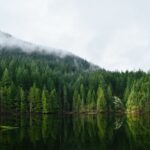 jeremy allouche llc bfnjj1o unsplash