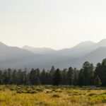 jim-witkowski-e8JhtZ9ihIg-unsplash