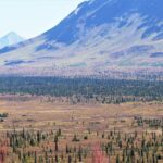 joris-beugels-TCJ2mI3dnwg-unsplash