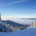 louis dupressoir cp gdq1yob8 unsplash