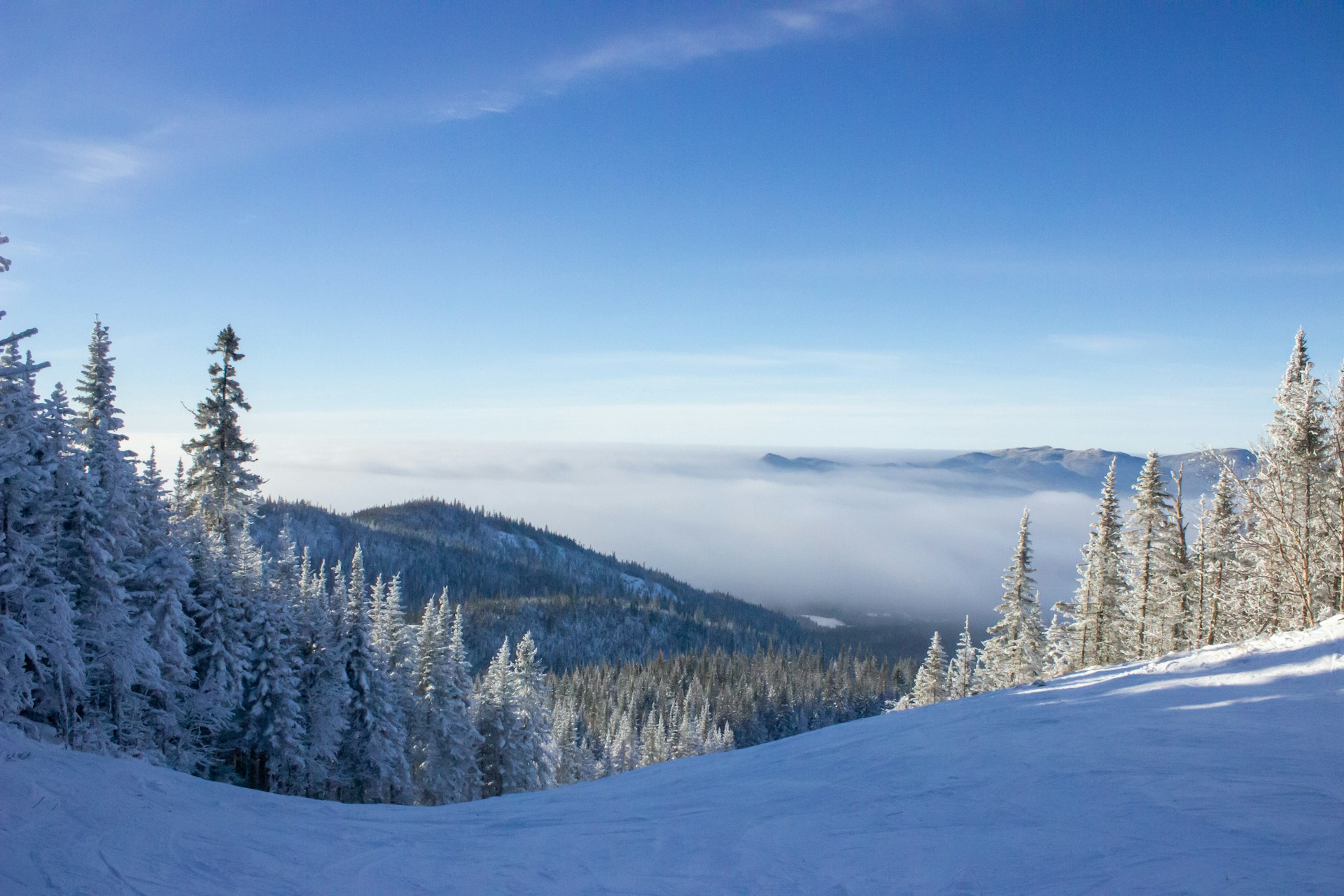 louis dupressoir cp gdq1yob8 unsplash