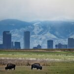 mana5280-IWGMtPUbm8Q-unsplash