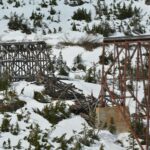 marcus s oymcrmy8om unsplash