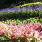 mark raptapolus qkmgebopegq unsplash