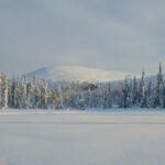 markus-wagner-WnpXxn-bZo0-unsplash