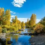 matthew-hernandez-Ms4D8OmrAMQ-unsplash