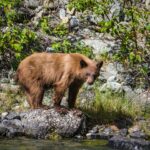 mauro fabio cilurzo dkr4jtynl3g unsplash