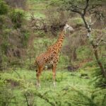 max-christian-h7iCYY4hZ2Y-unsplash