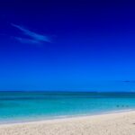 meg-von-haartman-qtto-l9h560-unsplash