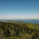 michael-diane-weidner-tzYoku8dRWA-unsplash