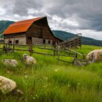 mick-haupt-GaUFhztFaZg-unsplash