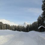 mohammed alyousif fwwrhinhz5k unsplash