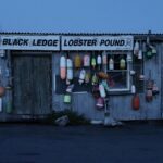 mr-hickmott-Sih4Q949Z34-unsplash