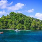 paul-mathew-T9Z7vnvhZYY-unsplash