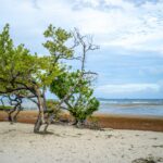 pedro-colon-AXBCtvFxp6k-unsplash