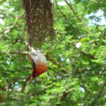 raini-sydney-oXvEDGkjiXY-unsplash