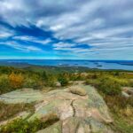 rich-martello-JF1Ix1VFBb4-unsplash