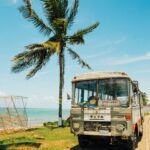 rock-staar-EpqBeZlEGk4-unsplash