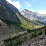 rohit d silva viks ik0m4q unsplash