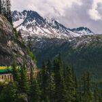 ronald wong qameblmsfji unsplash