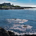 rusty-watson-3-3UQKzmwQs-unsplash