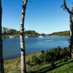 rusty-watson-5FgvT-Bcs7w-unsplash