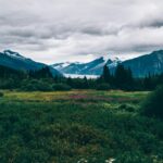 sandra seitamaa erhuwe4yk8k unsplash