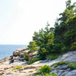 savannah-rohleder--gnLUMhBkPI-unsplash