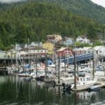 sheila c c1huoqtpsx8 unsplash