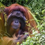 simone-millward-nKGio_6E_4k-unsplash