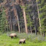 sneha chandrashekar qa8tse 0bou unsplash