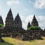 takashi-miyazaki-YZh10DZAzCo-unsplash