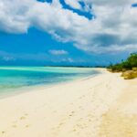 tanya-guillory-erbh0VzctyE-unsplash