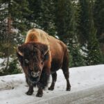 tevin-trinh-IkWpcXdLM5E-unsplash