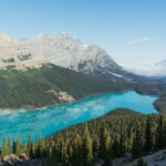 tevin trinh qbvbqwlojg unsplash