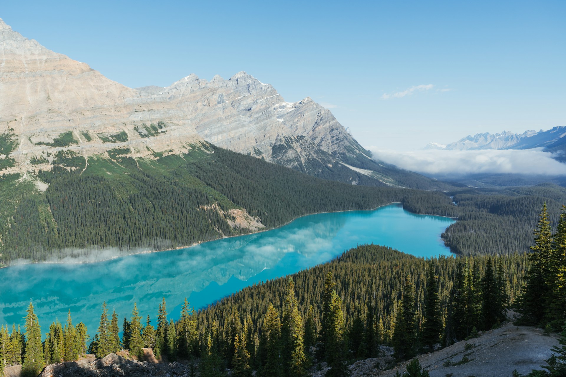 tevin trinh qbvbqwlojg unsplash