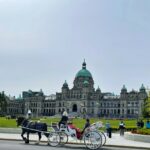 tomas gonzalez de rosenzweig vf midnq5zo unsplash