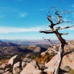 tommy-bond-EaKndkA848E-unsplash