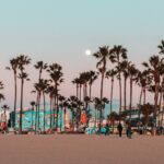 vincentas-liskauskas-UAavxB6eO9c-unsplash