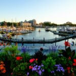 vlad d qb1ywj0gz8i unsplash