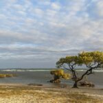 wally-reyes-UK6-7FNT6K4-unsplash