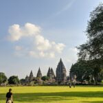 yogi-egiyana-_Bj4SehJ0jA-unsplash