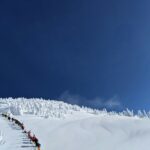 zacharie metcalfe vajtjplpai0 unsplash