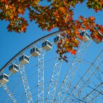 zhanhong cheng 4jwmzm61bj0 unsplash